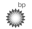 https://www-blh-dom.wp1.hcweb.dev/wp-content/uploads/2019/06/bp-logo.png